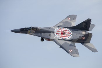 An MiG-29 Fulcrum of the Polish Air Force in Flight by Timm Ziegenthaler/Stocktrek Images art print