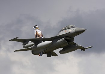 Belgian F-16B taking off by Timm Ziegenthaler/Stocktrek Images art print