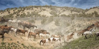 Moving the Herd by PHBurchett art print