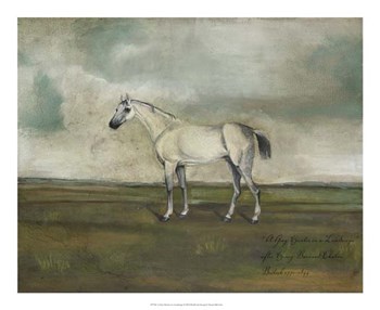 A Grey Hunter in a Landscape by Naomi McCavitt art print