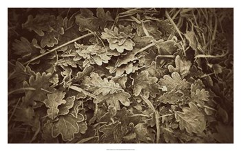 Autumn Leaves by Lillian Bell art print