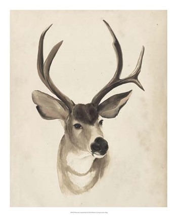 Watercolor Animal Study II by Grace Popp art print