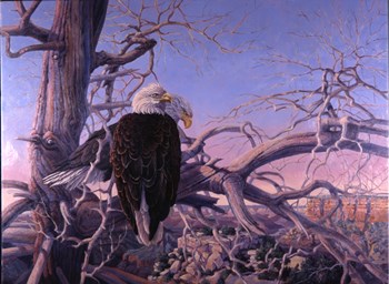 Bald Eagles by Gene Dieckhoner art print