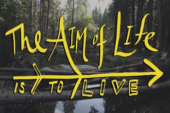 Aim of Life by Leah Flores art print