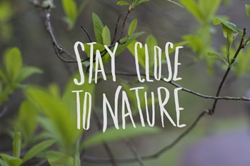 Nature by Leah Flores art print