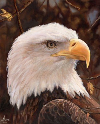 Eagle by Shiva art print