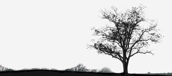 Almost Winter by Erin Clark art print