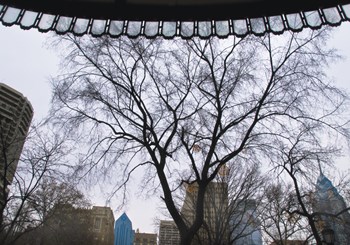 Park View II (Color) by Erin Clark art print