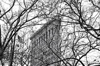 Veiled Flatiron Building (b/w) by Erin Clark art print
