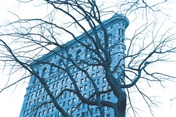 Blue Flatiron by Erin Clark art print