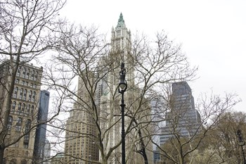Woolworth Building from City Hall Park by Erin Clark art print