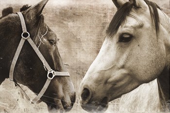 Horse Pair by Erin Clark art print