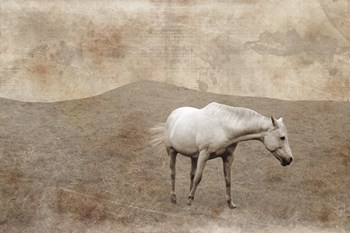 White Horse Vintage by Erin Clark art print