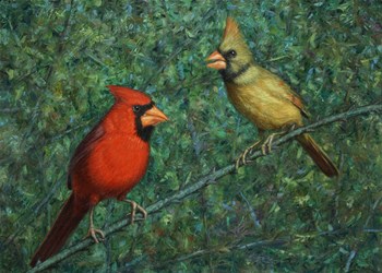 Cardinal Couple by James W. Johnson art print