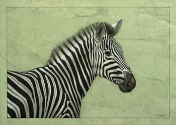 Zebra by James W. Johnson art print