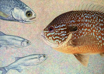 Mooneyes - Sunfish by James W. Johnson art print