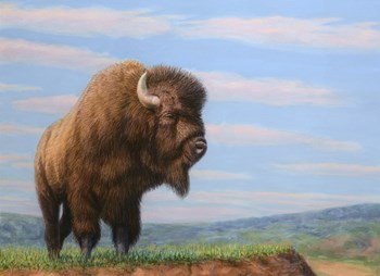 American Bison by James W. Johnson art print