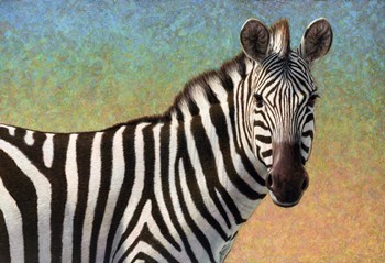Portrait Of A Zebra by James W. Johnson art print