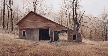 Still Standing by David Knowlton art print