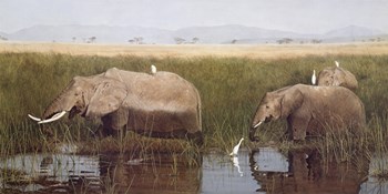 Gentle Giants by David Knowlton art print