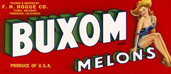 Buxom Melons by Print Collection art print