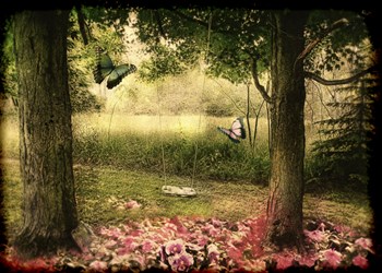 Behind our House by Mindy Sommers art print