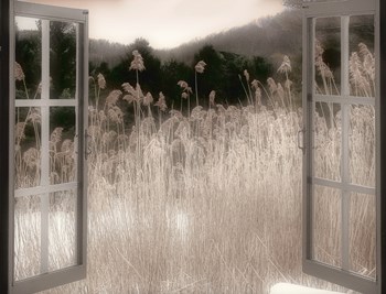 Portal by Mindy Sommers art print