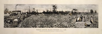 Picking Cotton in GA 1915 by Mindy Sommers art print