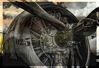 Freedom Fighter by Mindy Sommers art print