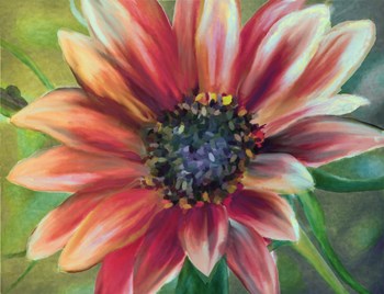 Sundrenched by Mindy Sommers art print