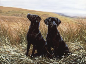 Two Black Labs by John Silver art print