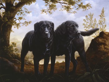 in the Woods by John Silver art print