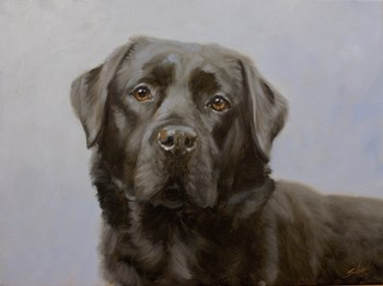 Black Lab 11 by John Silver art print