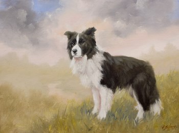 Border Collie 5 by John Silver art print