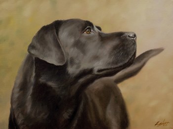 Black Lab 13 by John Silver art print