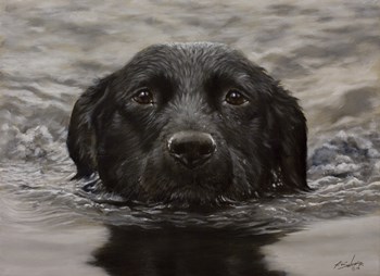 Black Lab 20 by John Silver art print