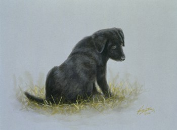 Curious by John Silver art print