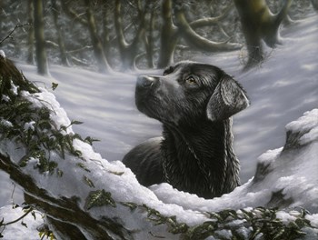 Snowy by John Silver art print