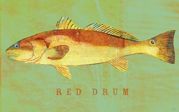 Red Drum by John W. Golden art print