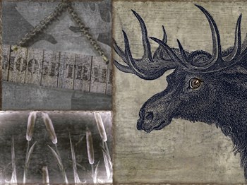 Moose by Color Bakery art print