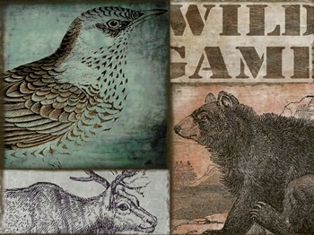 Cabela II by Color Bakery art print