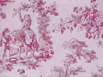 Toile Fabrics IV by Color Bakery art print