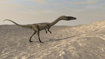 Coelophysis Walking through Desert by Kostyantyn Ivanyshen/Stocktrek Images art print