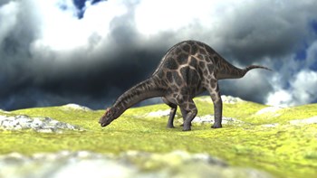 Dicraeosaurus Grazing by Kostyantyn Ivanyshen/Stocktrek Images art print