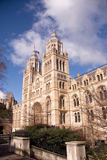Natural History Museum, London, United Kingdom by Inger Hogstrom / Danita Delimont art print