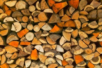 Stacked Firewood, Lithuania by Keren Su / Danita Delimont art print