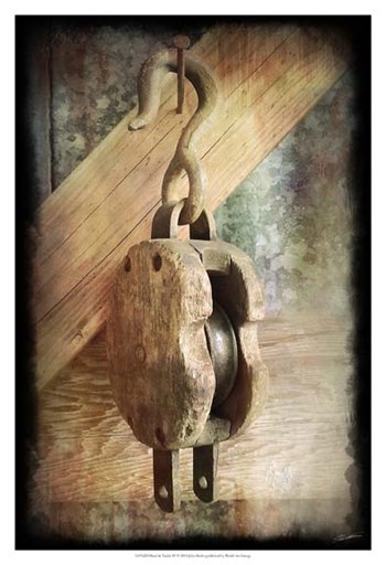 Block &amp; Tackle IV by John Butler art print