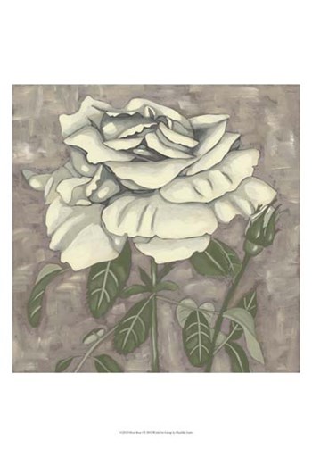 Silver Rose I by Chariklia Zarris art print