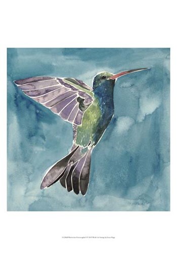Watercolor Hummingbird I by Grace Popp art print
