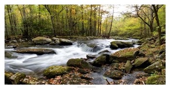 Over Flow Panorama by Danny Head art print